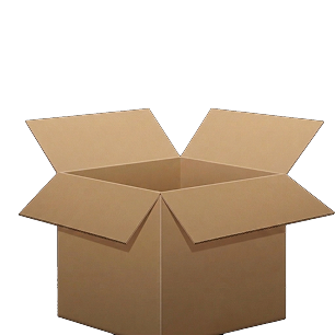 Carton Box