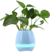 Planters